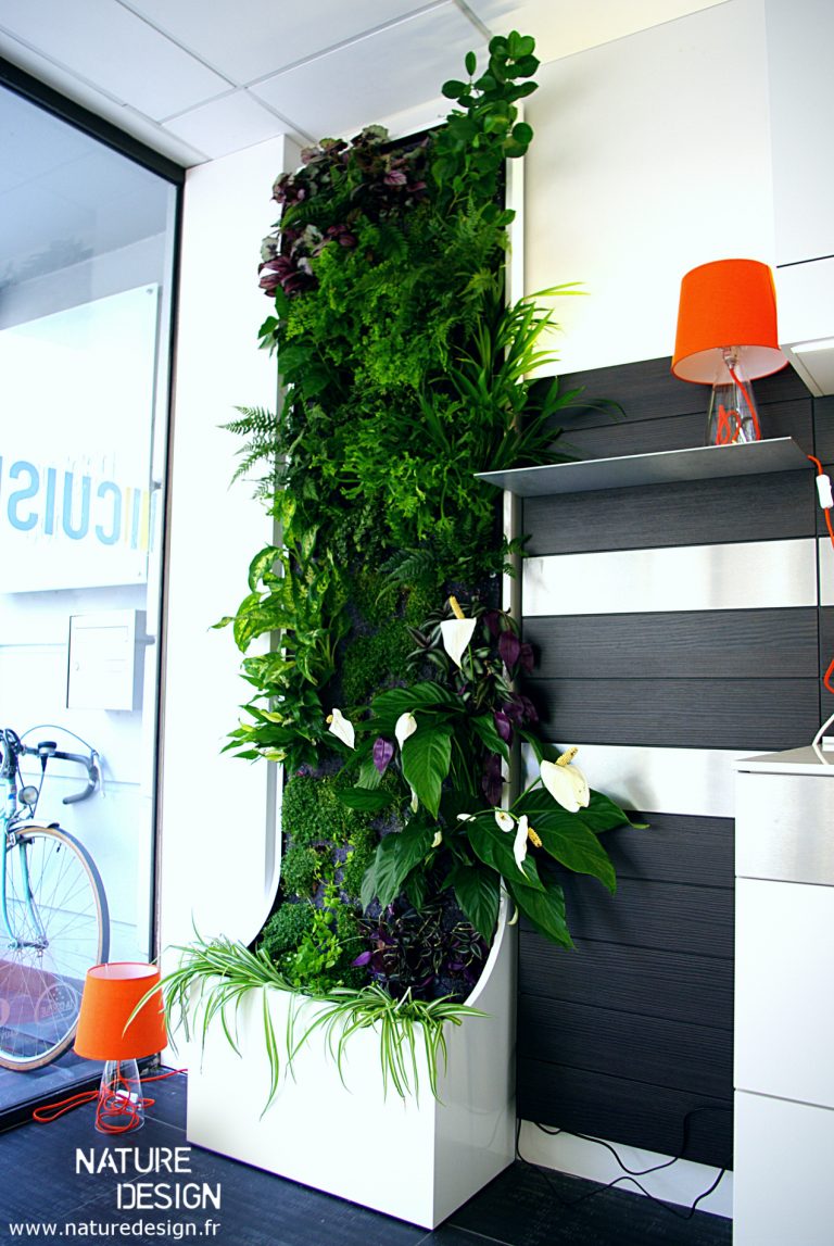 module végétal interieur Mur Végétal et Aquariums sur mesure.Nature — free download