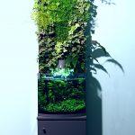 mur vegetal colone aquaponie