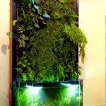 Mur végétal et aquarium