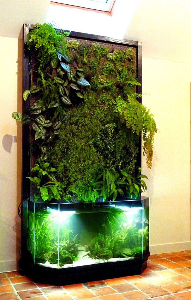 Aquaponie et mur végétal