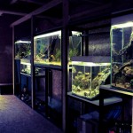 aquarium ferme du hérisson2