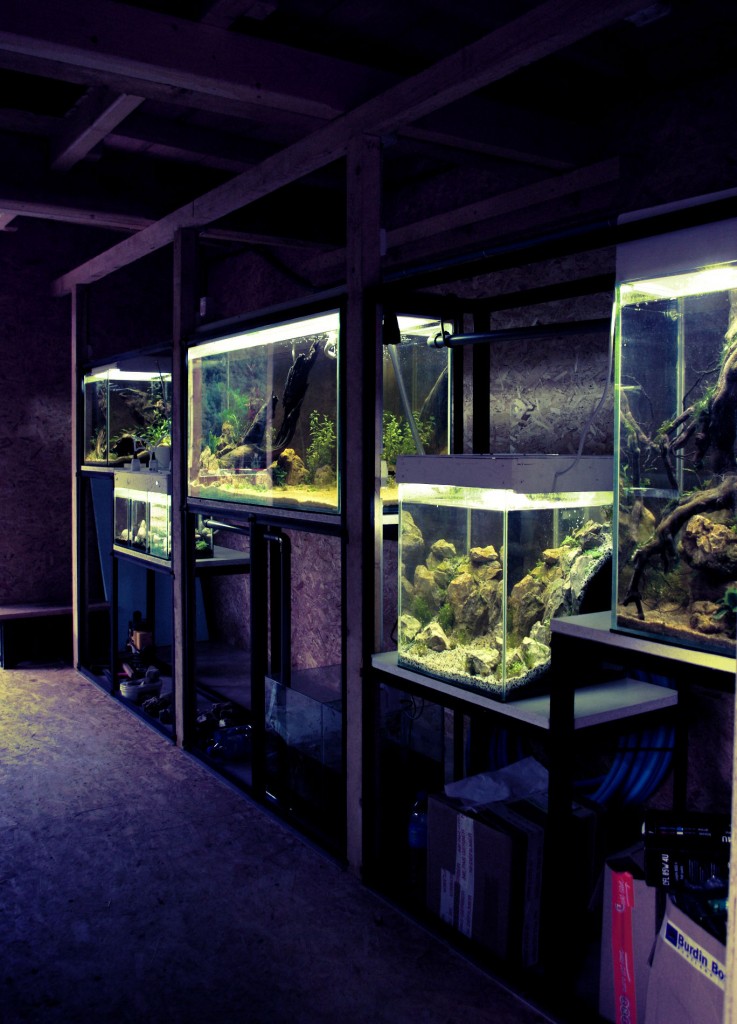 installation d'aquariums